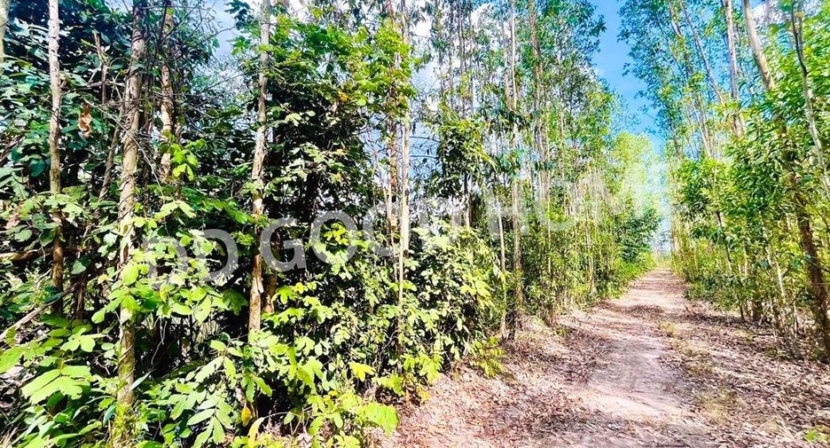 For sale land in Si Maha Phot, Prachin Buri