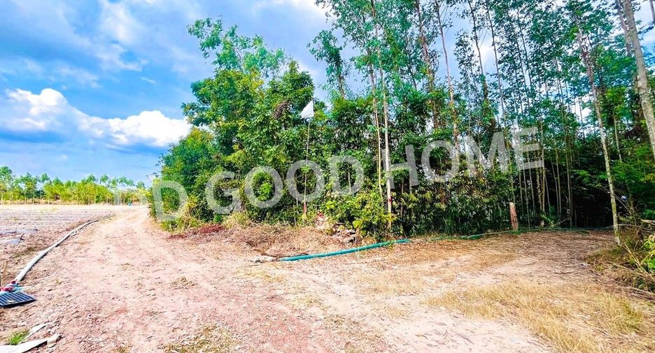 For sale land in Si Maha Phot, Prachin Buri