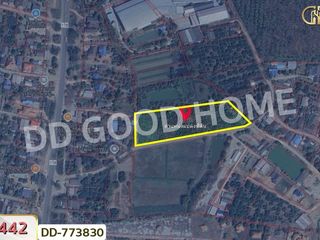 For sale land in Mae Suai, Chiang Rai