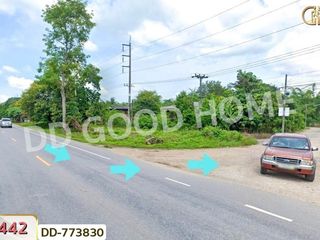 For sale land in Mae Suai, Chiang Rai