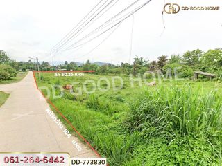 For sale land in Mae Suai, Chiang Rai