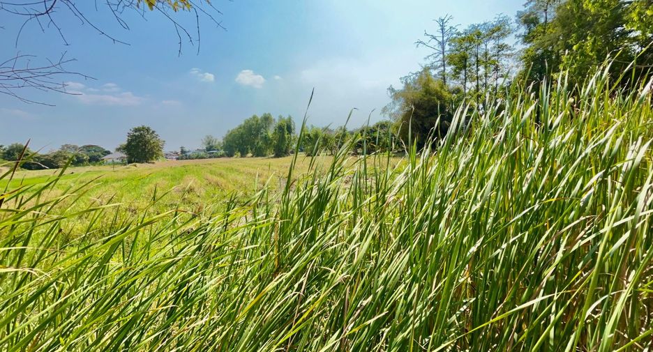 For sale land in Nong Khae, Saraburi
