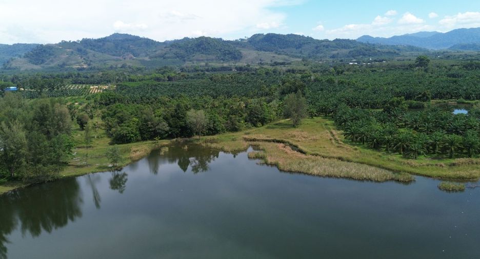 For sale land in Takua Pa, Phang Nga