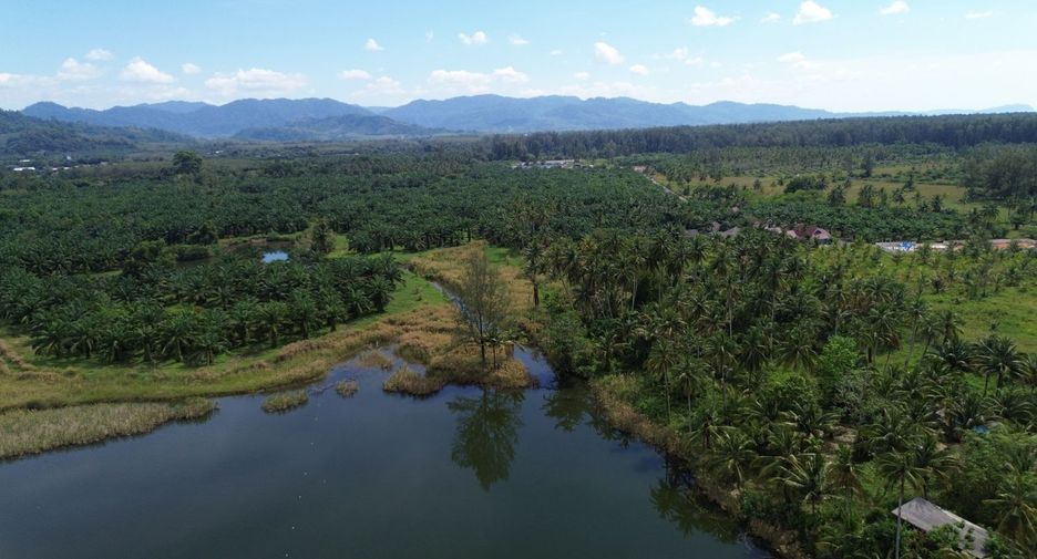 For sale land in Takua Pa, Phang Nga