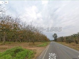 For sale land in Nong Yai, Chonburi