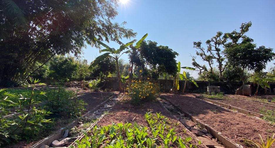 Casa en venta de 3 habitaciones en Mae Taeng, Chiang Mai