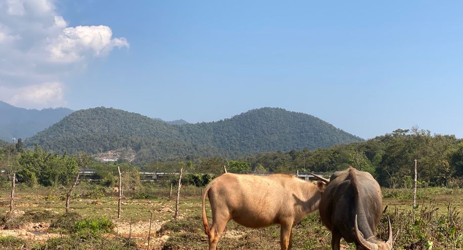 Casa en venta de 3 habitaciones en Mae Taeng, Chiang Mai