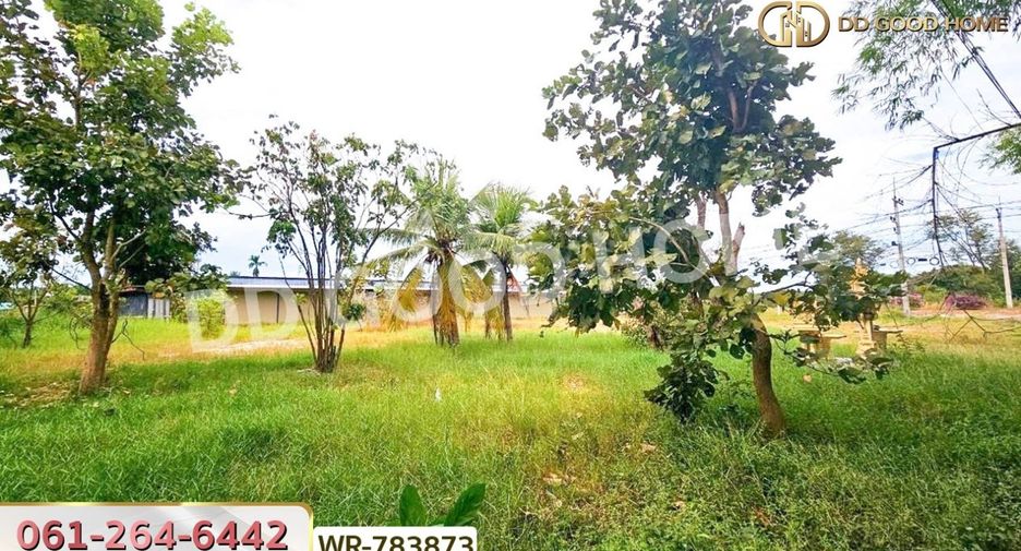 ขาย ที่ดิน ใน บ้านนา, นครนายก