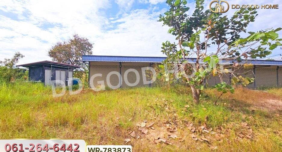 ขาย ที่ดิน ใน บ้านนา, นครนายก