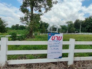 For sale land in Mae On, Chiang Mai