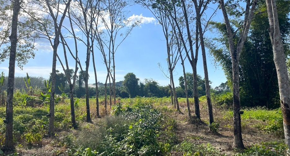 Terreno en venta en Thai Mueang, Phang Nga