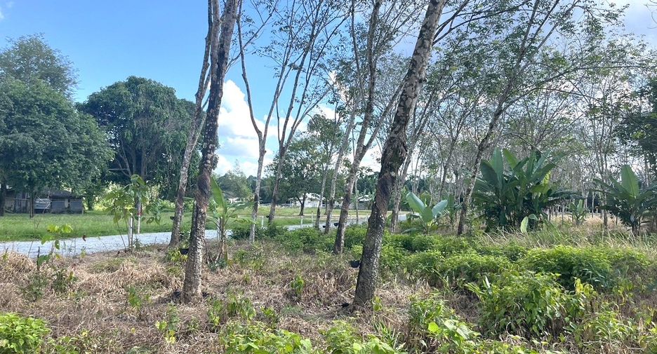 Terreno en venta en Thai Mueang, Phang Nga