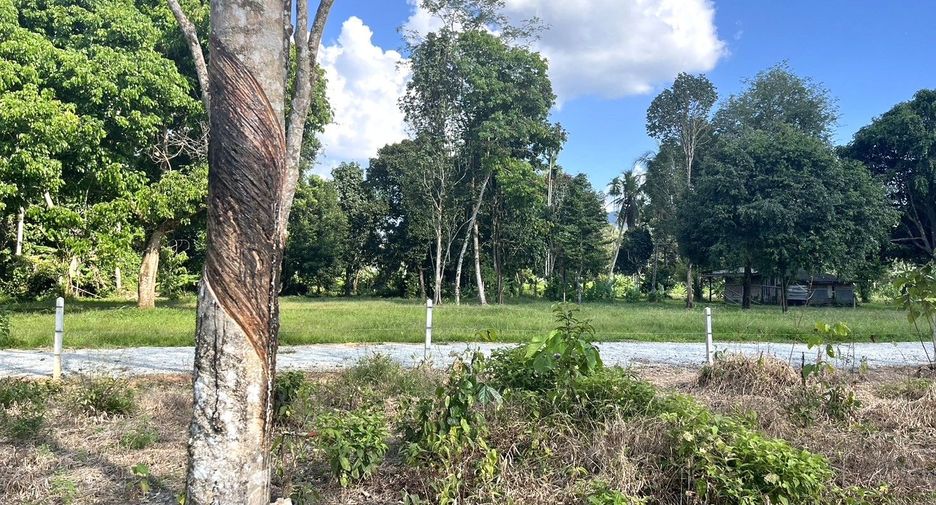 Terreno en venta en Thai Mueang, Phang Nga