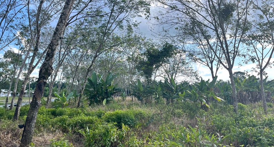 Terreno en venta en Thai Mueang, Phang Nga