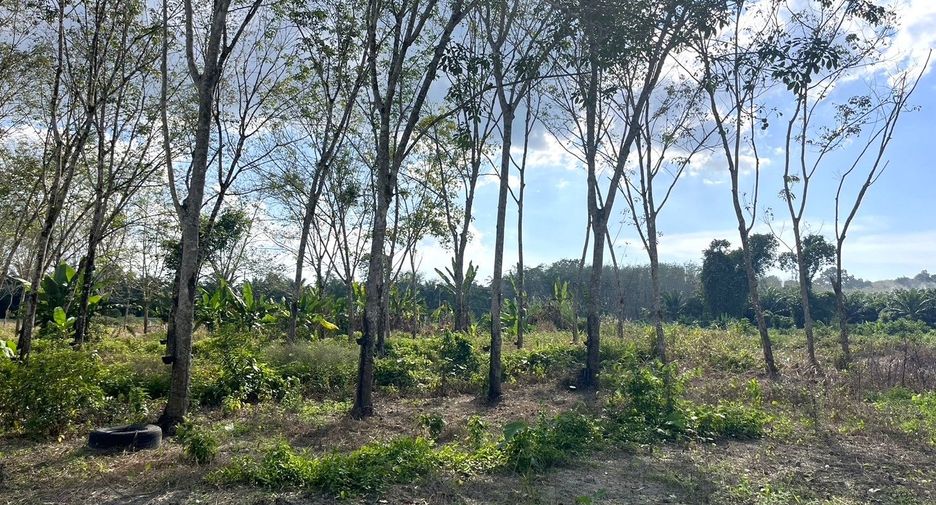 Terreno en venta en Thai Mueang, Phang Nga