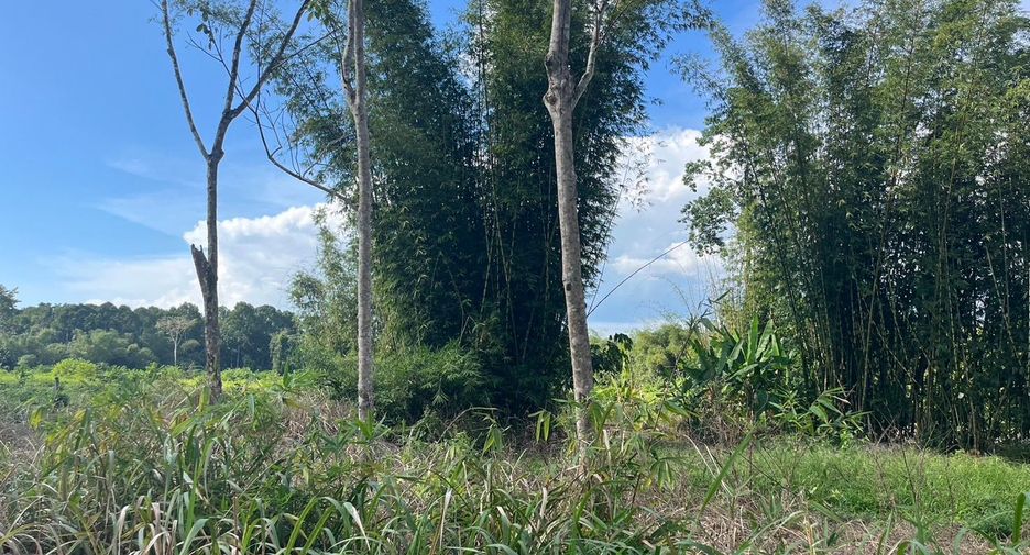 Terreno en venta en Thai Mueang, Phang Nga