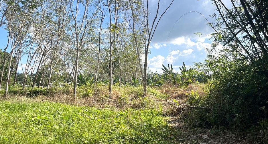 Terreno en venta en Thai Mueang, Phang Nga