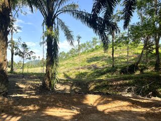 For sale land in Takua Thung, Phang Nga