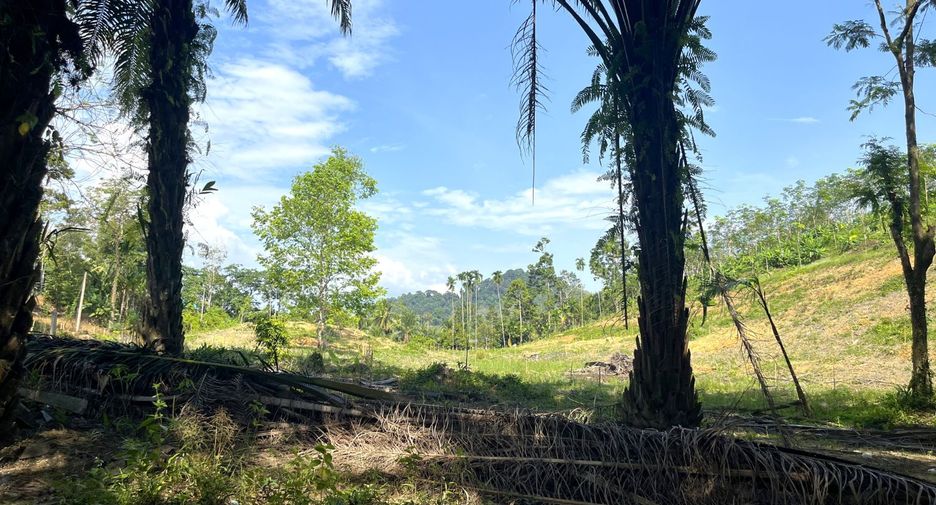 Grundstück zum Kauf in Takua Thung, Phang Nga