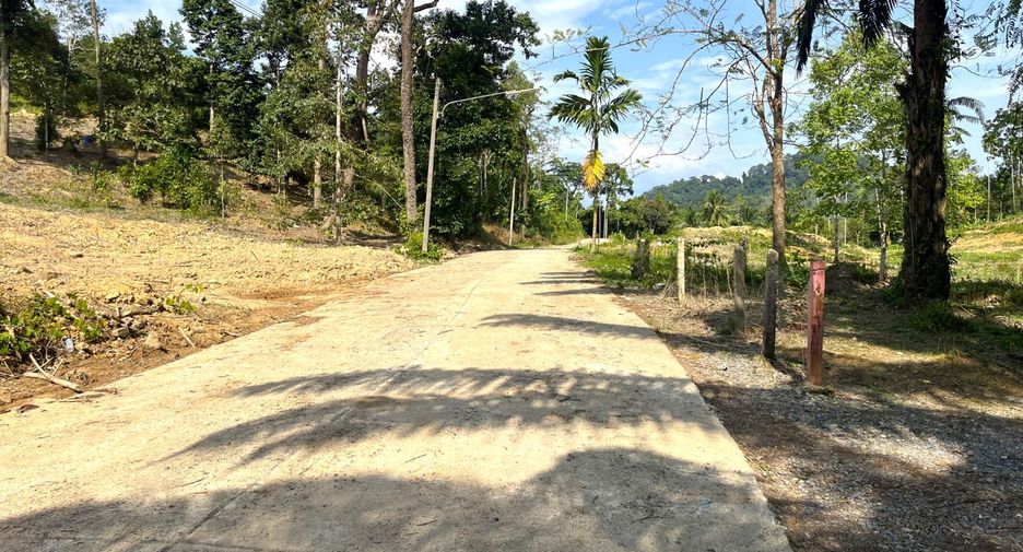 Grundstück zum Kauf in Takua Thung, Phang Nga