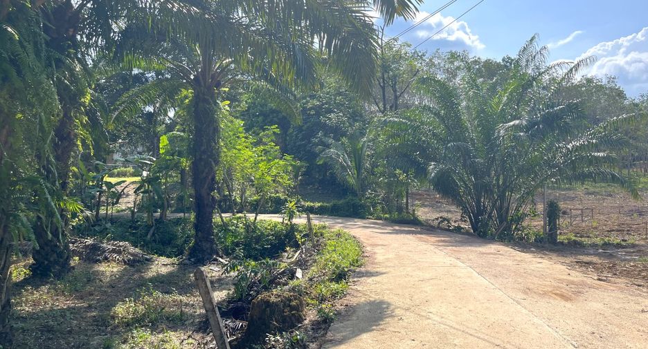Grundstück zum Kauf in Takua Thung, Phang Nga