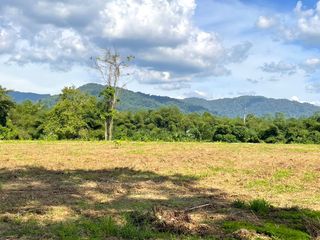 出售 土地 在 Thai Mueang, Phangnga