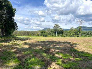 出售 土地 在 Thai Mueang, Phangnga