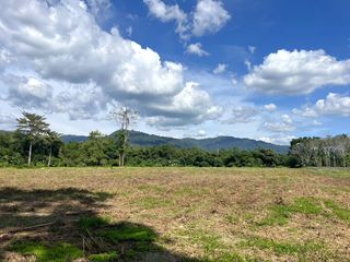 出售 土地 在 Thai Mueang, Phangnga