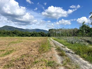 出售 土地 在 Thai Mueang, Phangnga