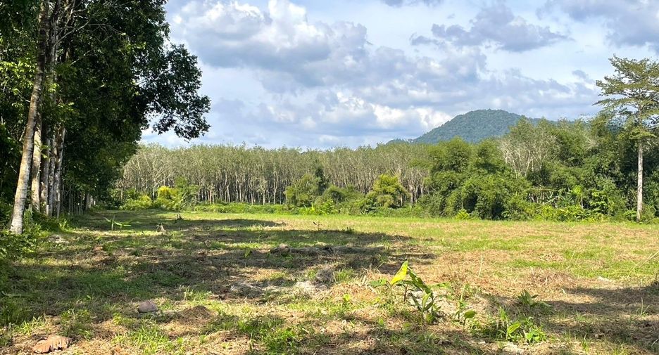 Grundstück zum Kauf in Thai Mueang, Phang Nga