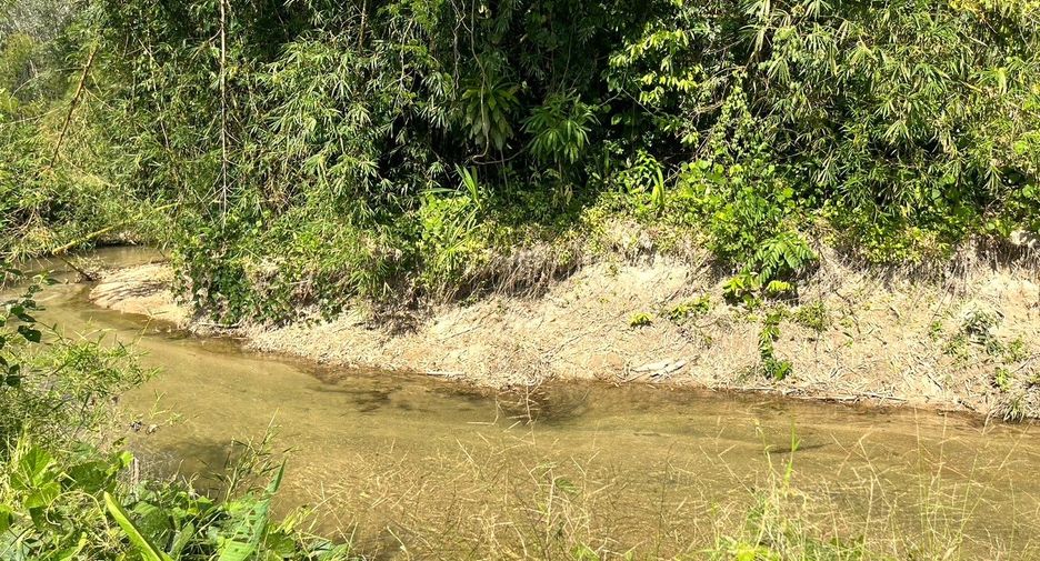 Grundstück zum Kauf in Thai Mueang, Phang Nga