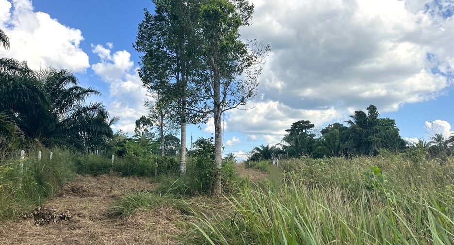 For sale land in Thai Mueang, Phang Nga