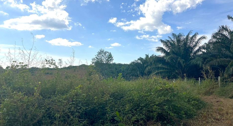 For sale land in Thai Mueang, Phang Nga
