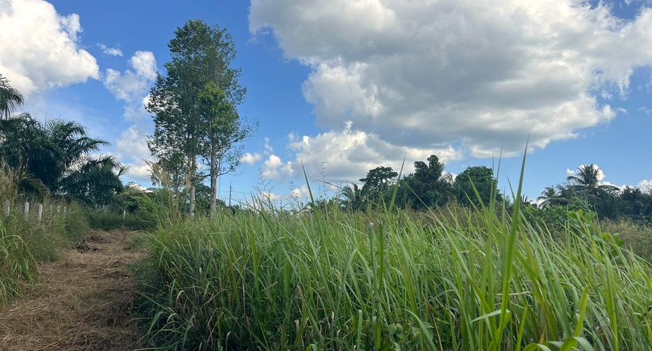 For sale land in Thai Mueang, Phang Nga