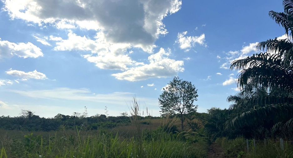 For sale land in Thai Mueang, Phang Nga