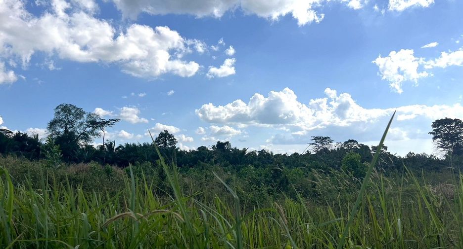 For sale land in Thai Mueang, Phang Nga