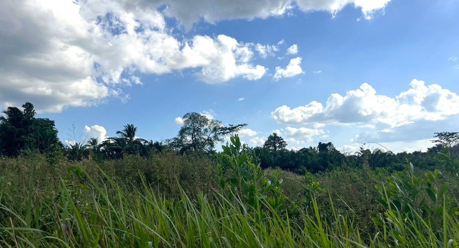 For sale land in Thai Mueang, Phang Nga
