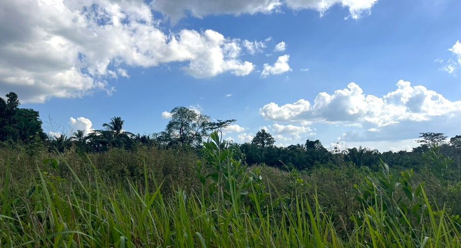 For sale land in Thai Mueang, Phang Nga