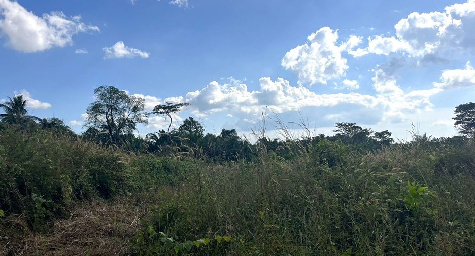For sale land in Thai Mueang, Phang Nga