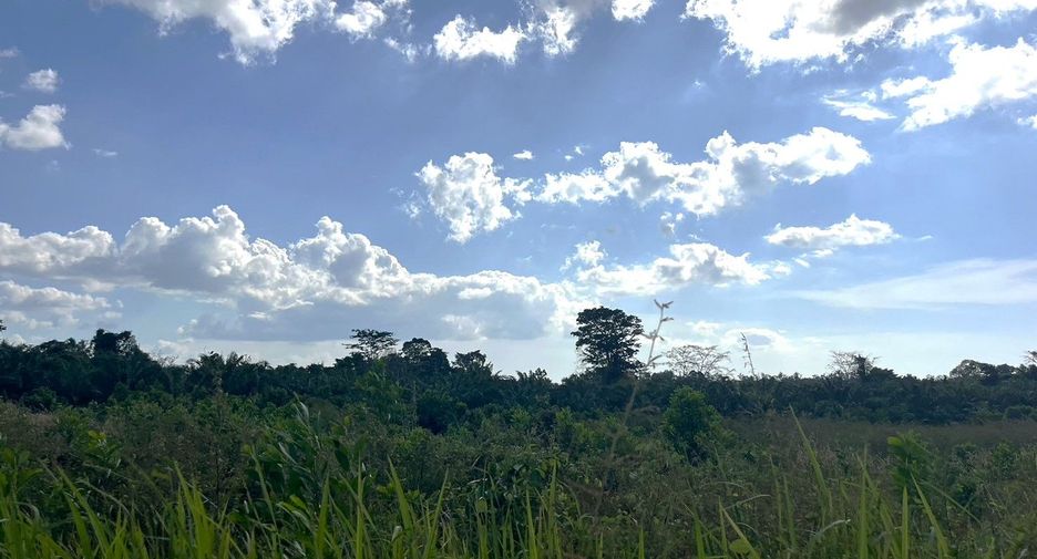 For sale land in Thai Mueang, Phang Nga