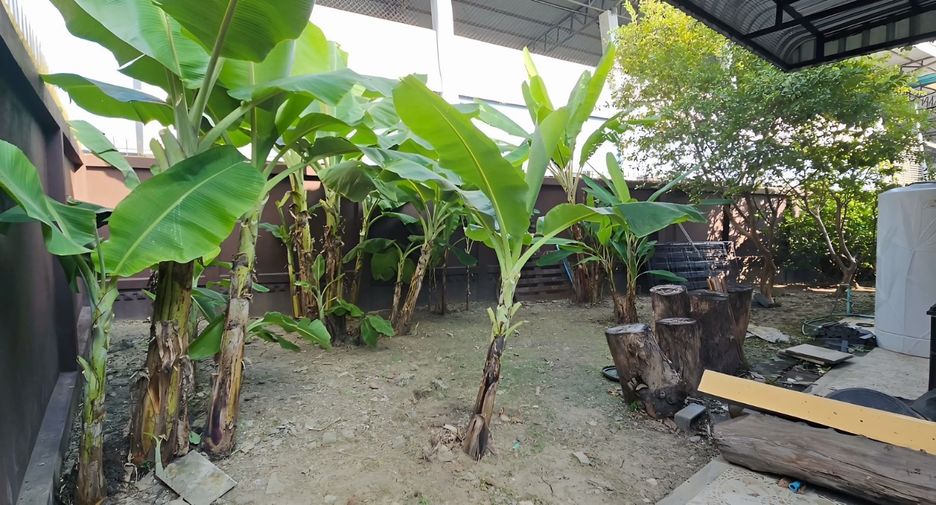 Casa en venta de 4 habitaciones en Thawi Watthana, Bangkok