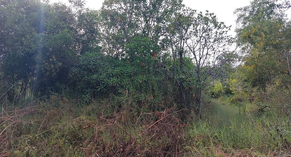 Terreno en venta en Thanyaburi, Pathum Thani