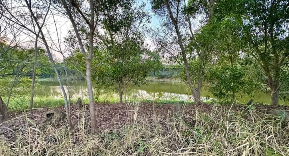 Продажа Участок в Mueang Chon Buri, Чонбури