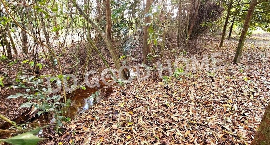 Terreno en venta en Makham, Chanthaburi