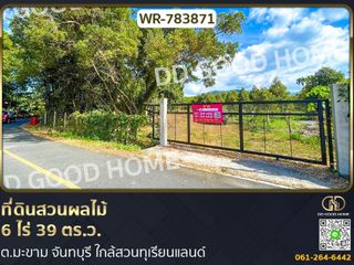 For sale land in Makham, Chanthaburi
