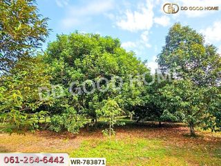 For sale land in Makham, Chanthaburi