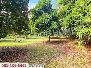 For sale land in Makham, Chanthaburi