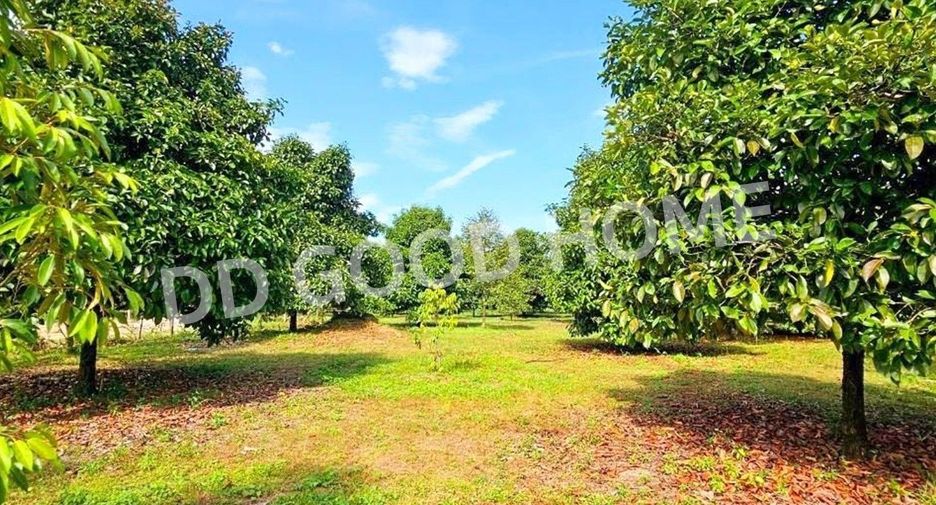 Terreno en venta en Makham, Chanthaburi