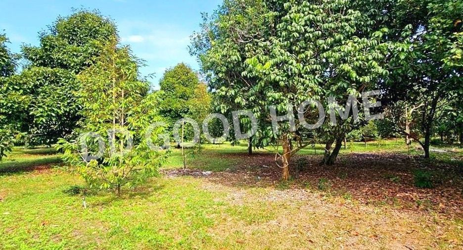 Terreno en venta en Makham, Chanthaburi
