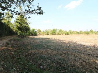 For sale land in Mueang Udon Thani, Udon Thani